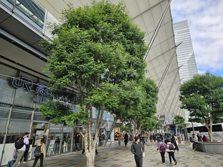 Tokyos centrale busstation