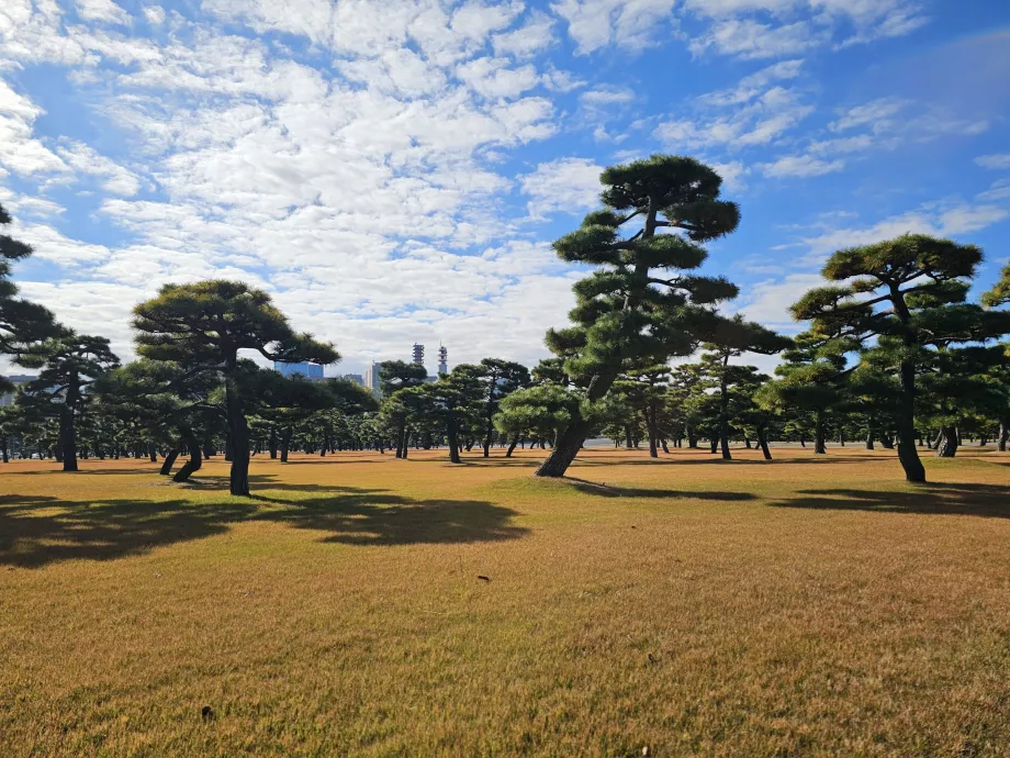 Kokyo Gaien National Garden