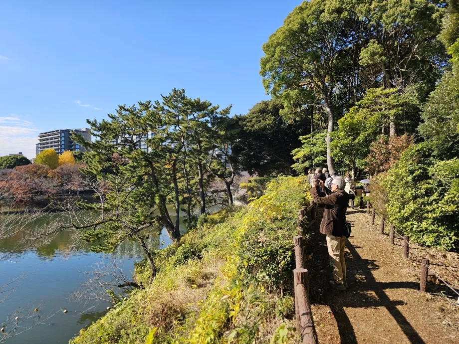 Kitanomaru Park