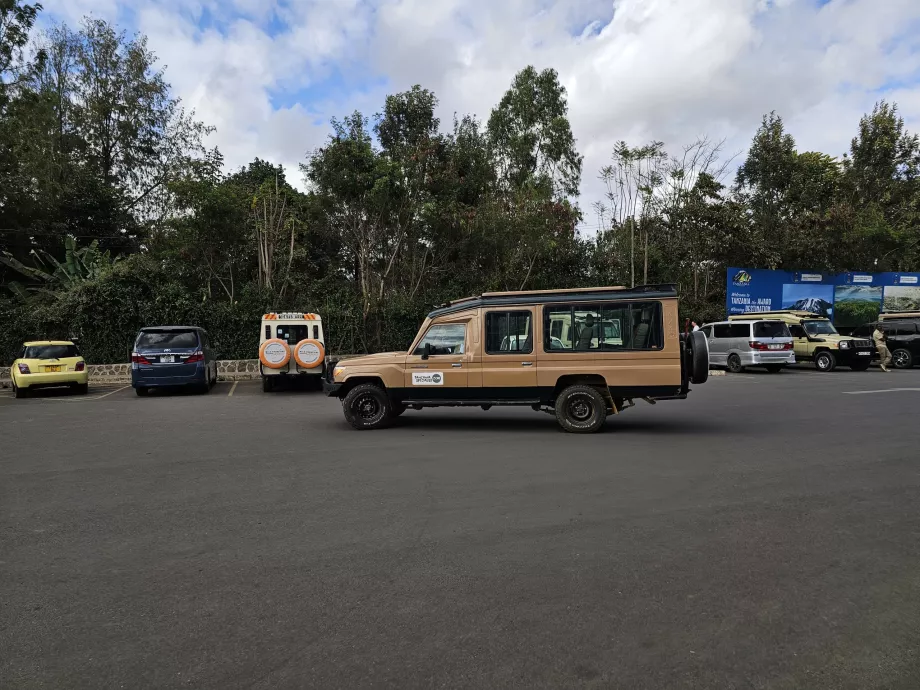 Transport til safari