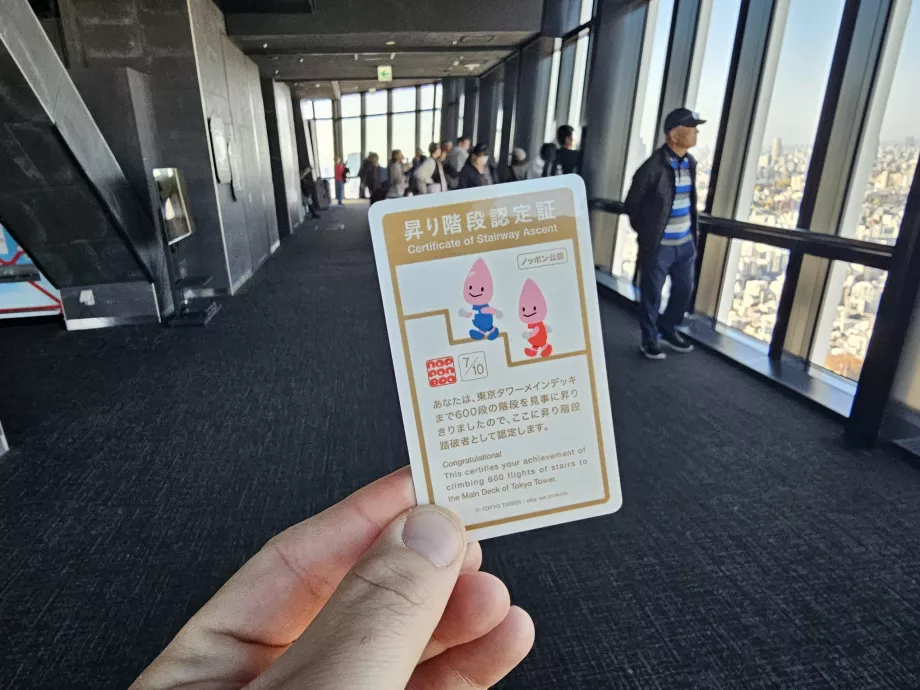 Certifikat efter at have besteget trappen