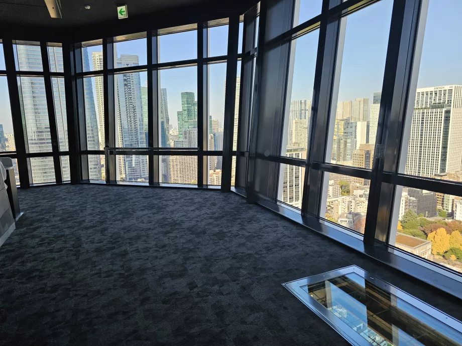 Vigtigste observationsplatform