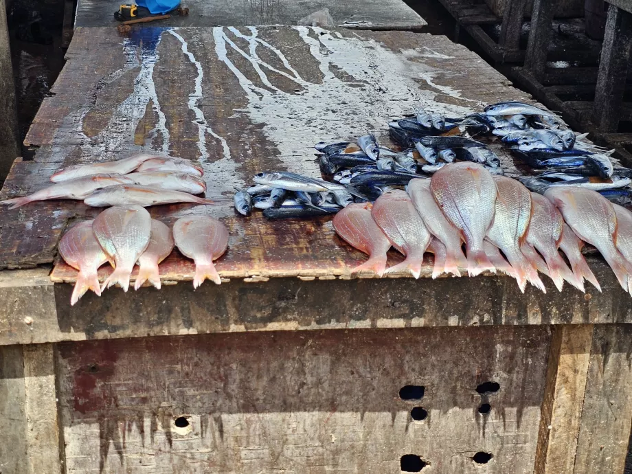 Færgens fiskemarked