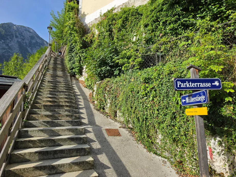 Trapper: starten på stien op ad Salzberg