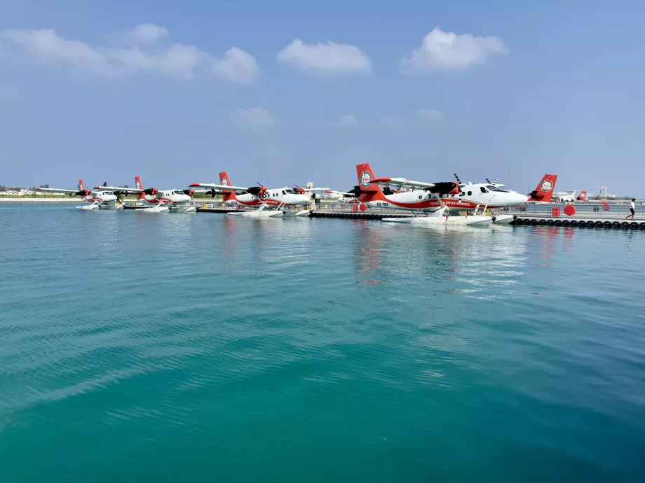 Trans Maldivian Airways' flåde af vandflyvere
