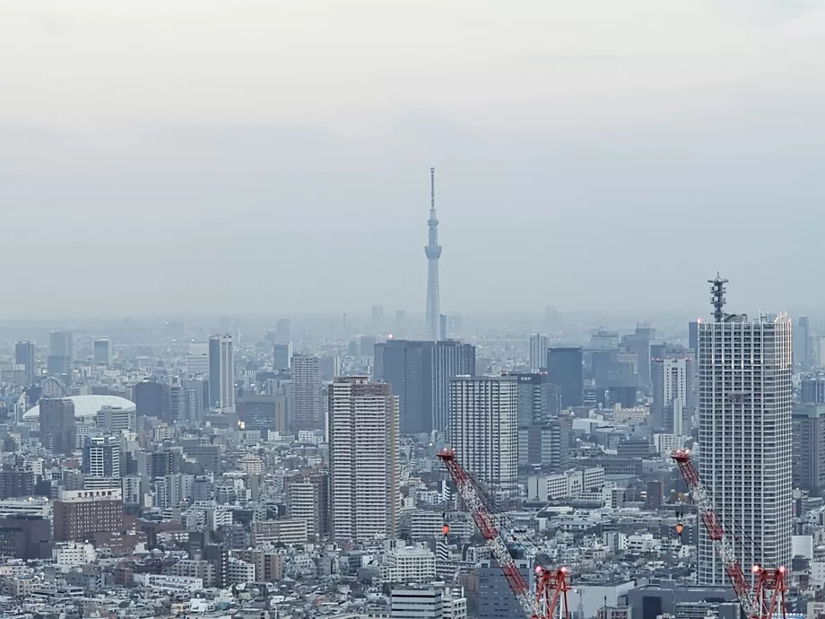 Tokyo Metropolitan Government Building