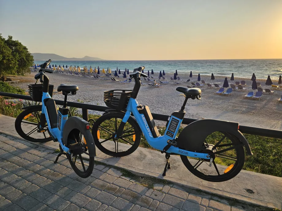 Delte cykler