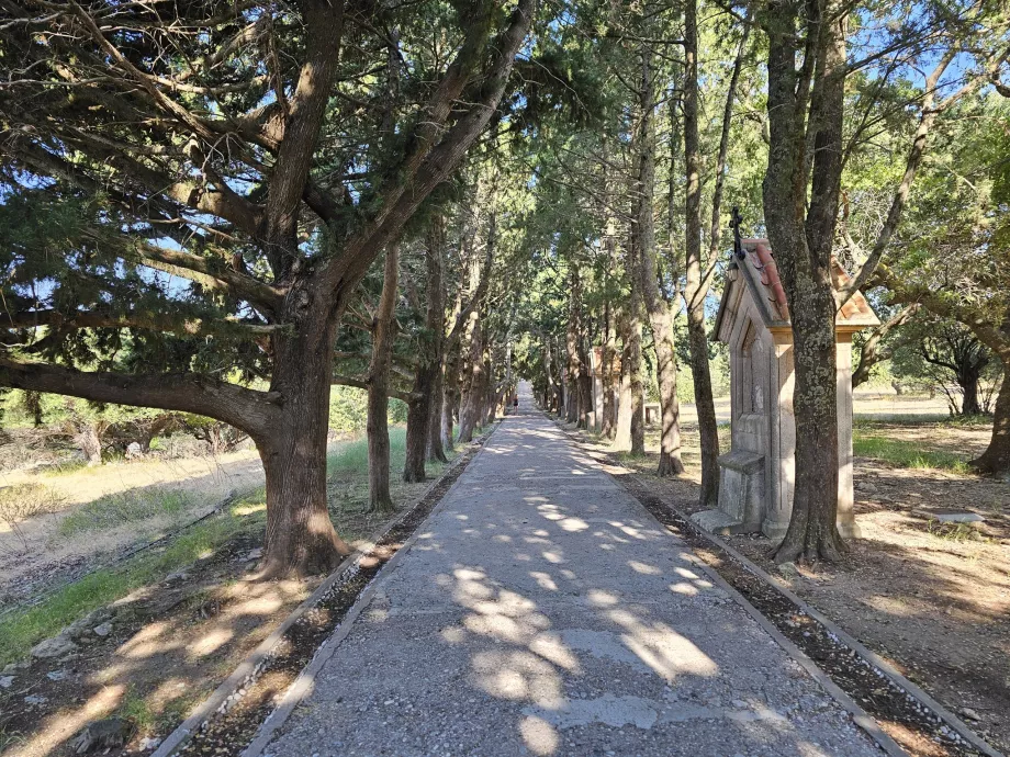 Filerimos Alley
