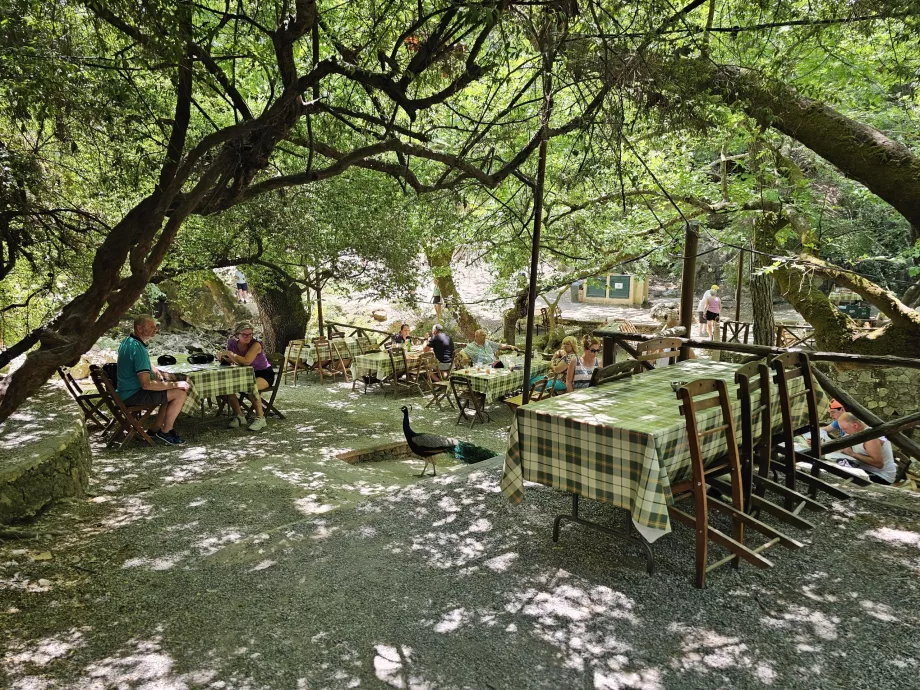 Restaurant ved de syv kilder