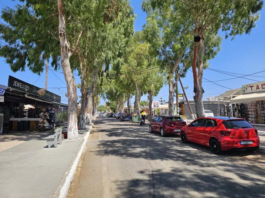Colymbia
