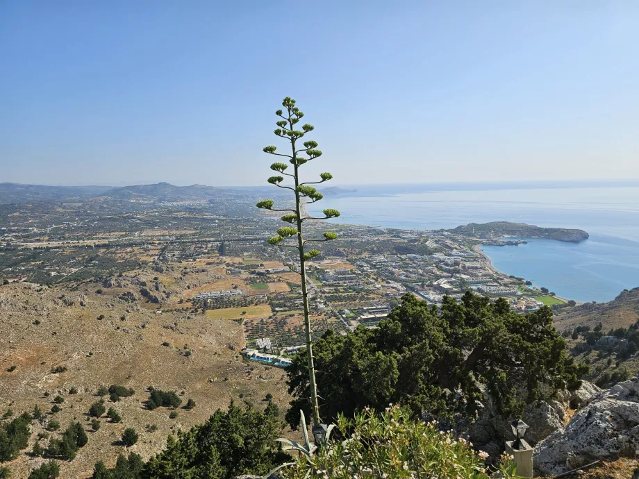 Udsigt fra Vor Frue Kloster over feriestedet Kolymbia