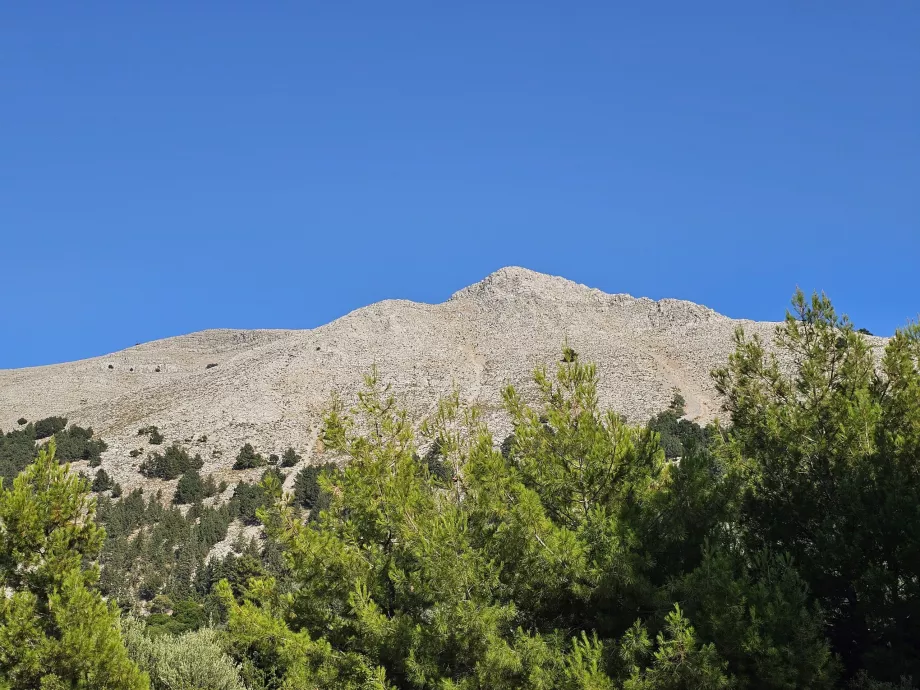Atavyros