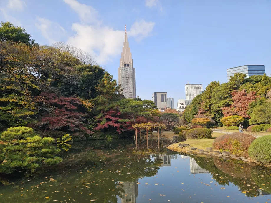 Shinjuku Gyoen National Garden