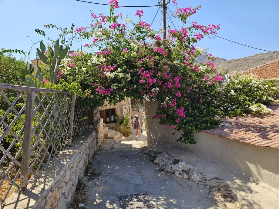 Den lille by Chalki