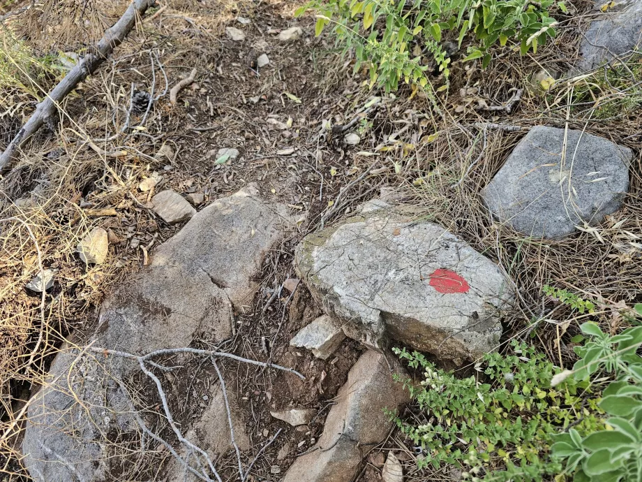 Turisme på Rhodos