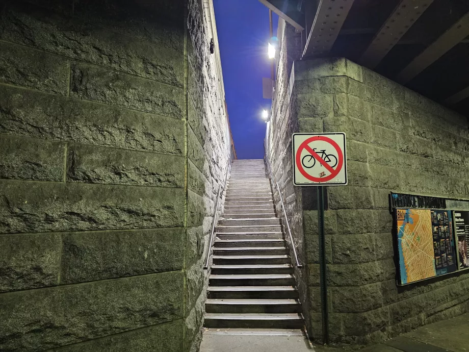 Brooklyn Bridge trapper