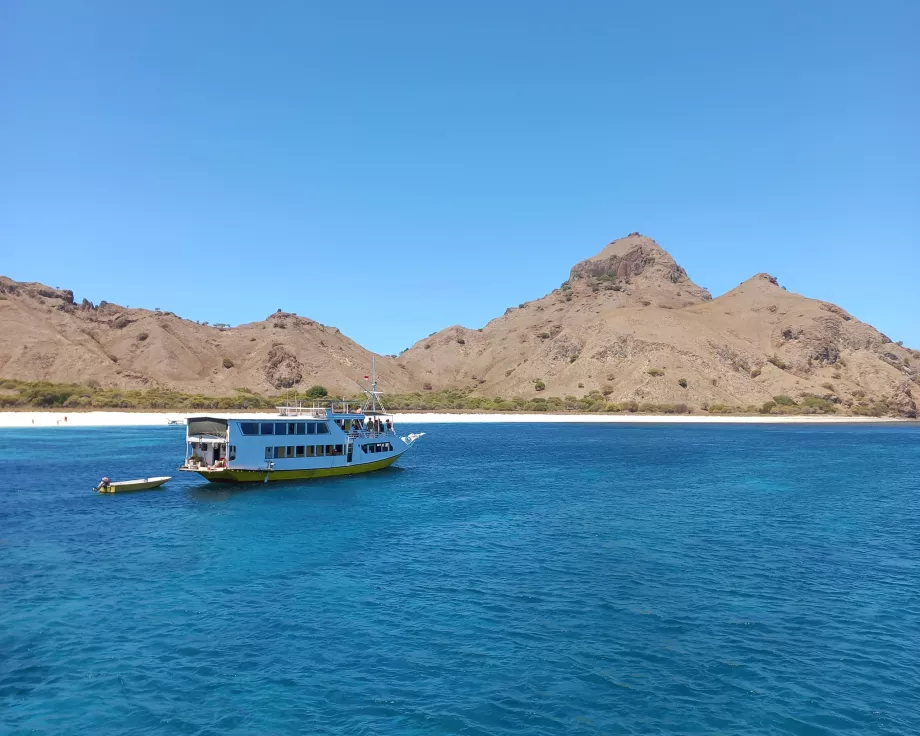 Rinca Island, Komodo-øerne, Indonesien