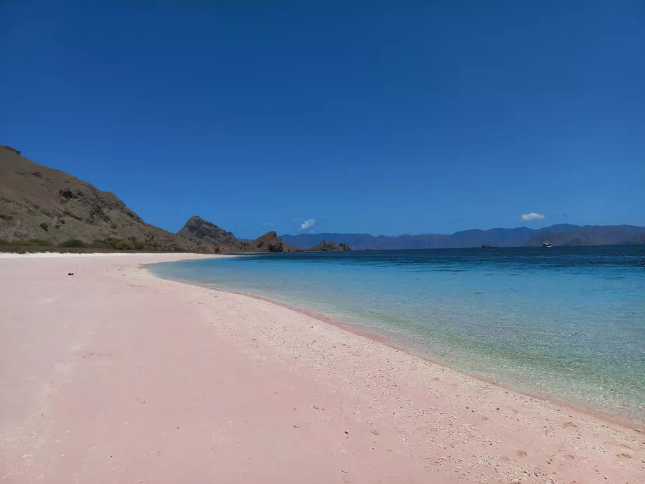 Pink Beach, Komodo-øerne, Indonesien