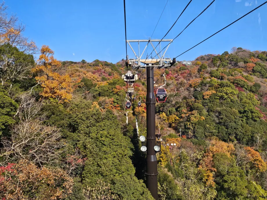 Udsigt fra svævebanen