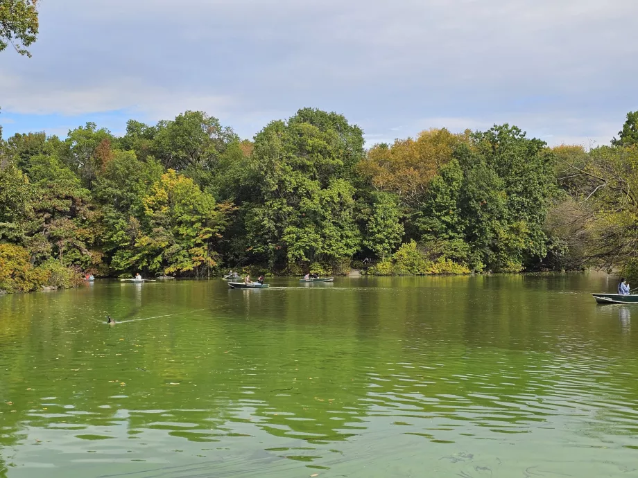Søen i Central Park
