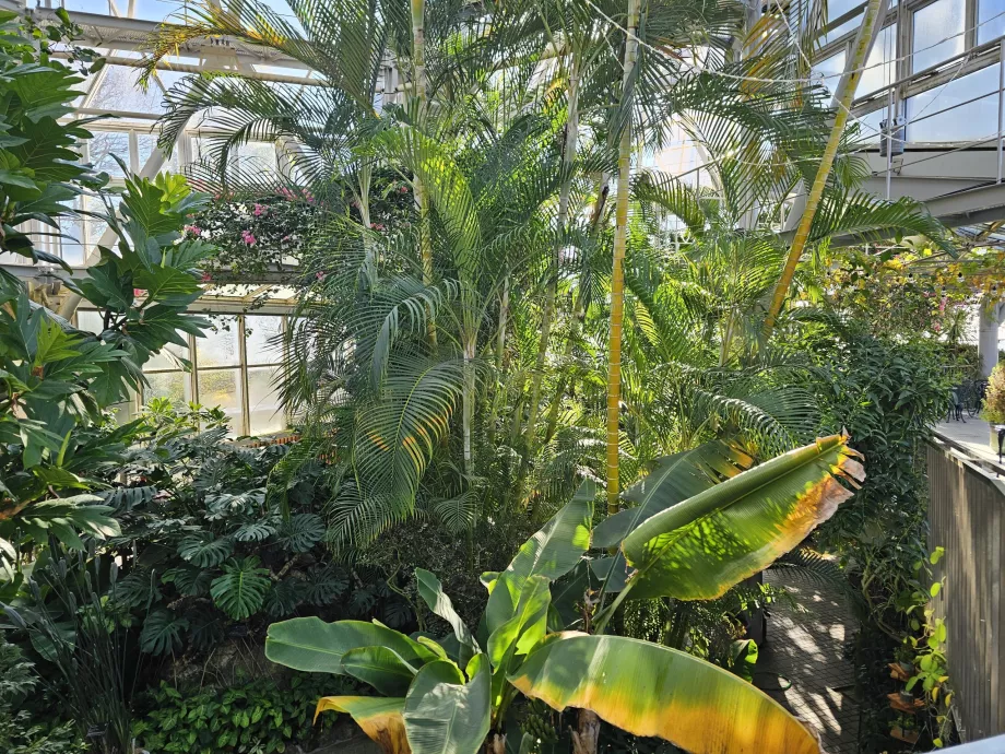 Drivhus i Nunobiki Herb Gardens