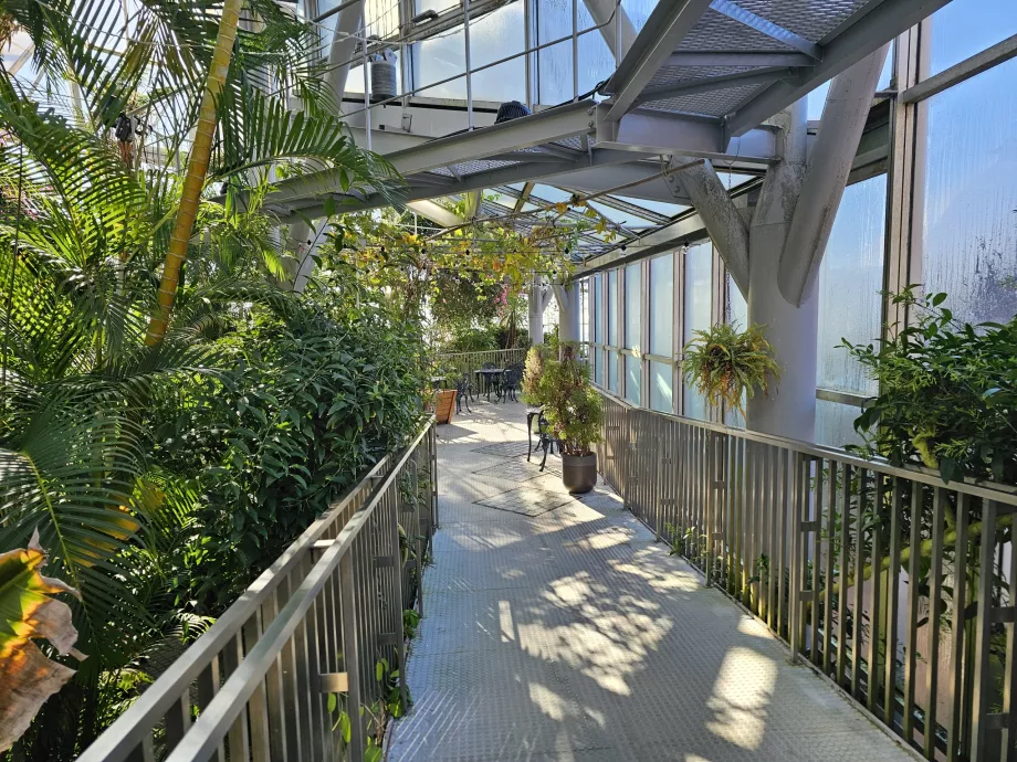 Drivhus i Nunobiki Herb Gardens