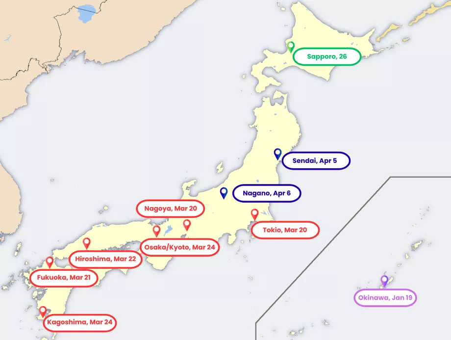 Kort over sakura-blomstring