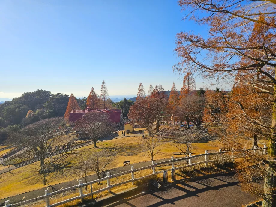 Rokkosans græsgange