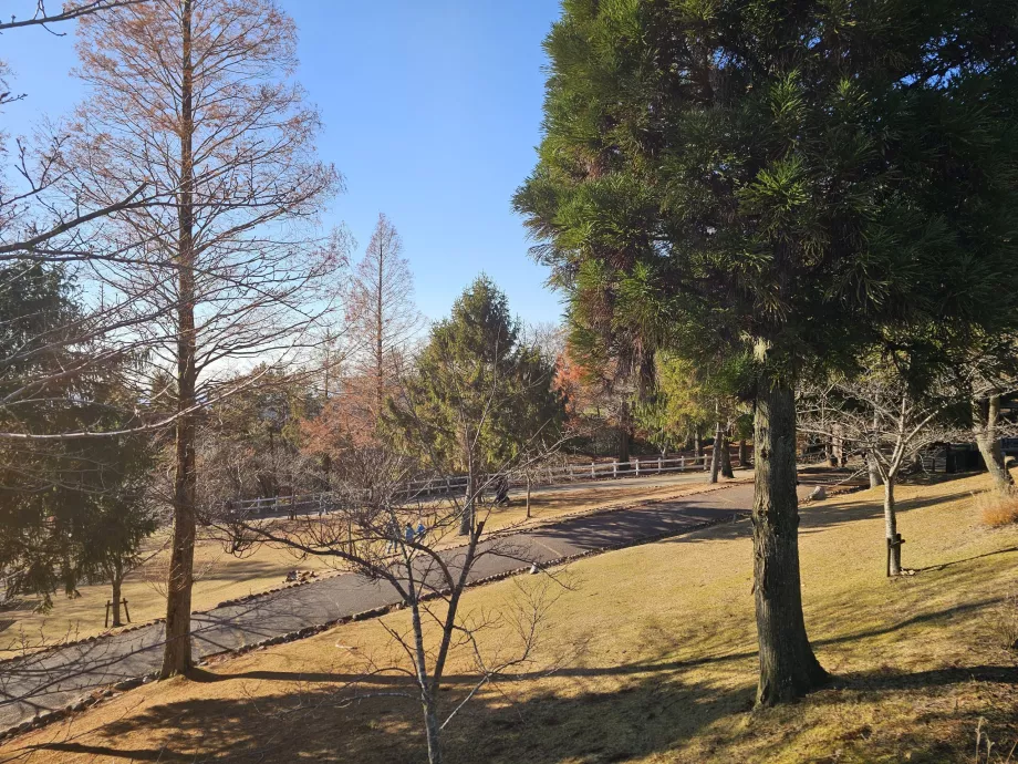 Rokkosans græsgange