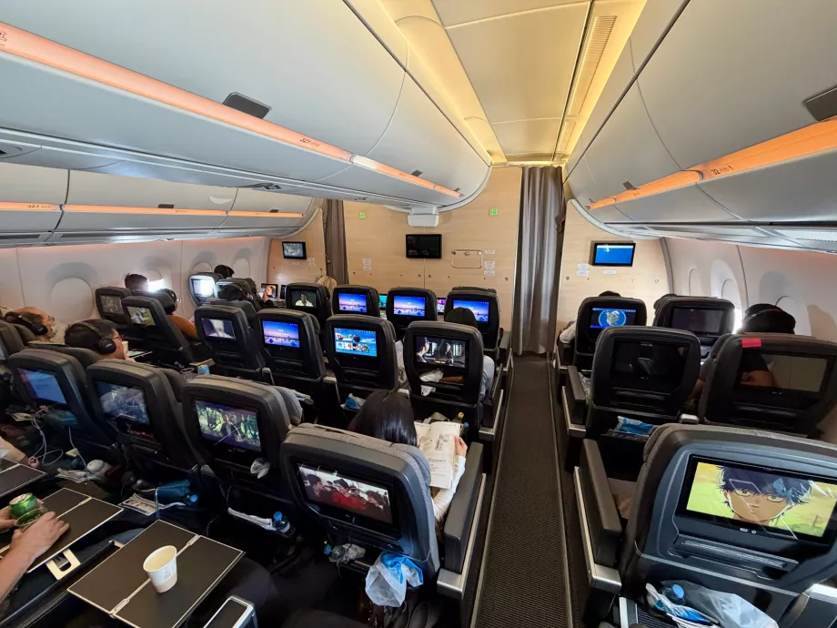 Udsigt til Premium Economy Class