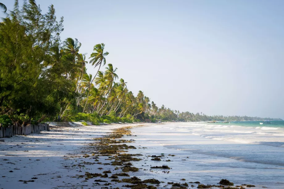 Bwejuu-stranden