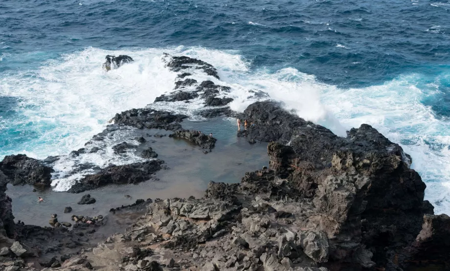 Oliven-pools