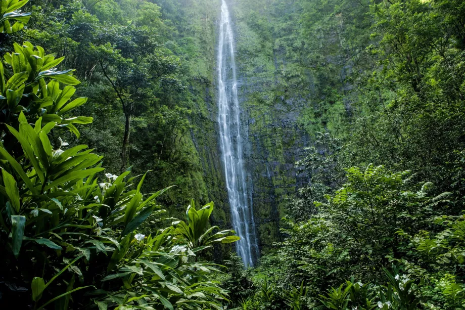 Waimoku vandfald