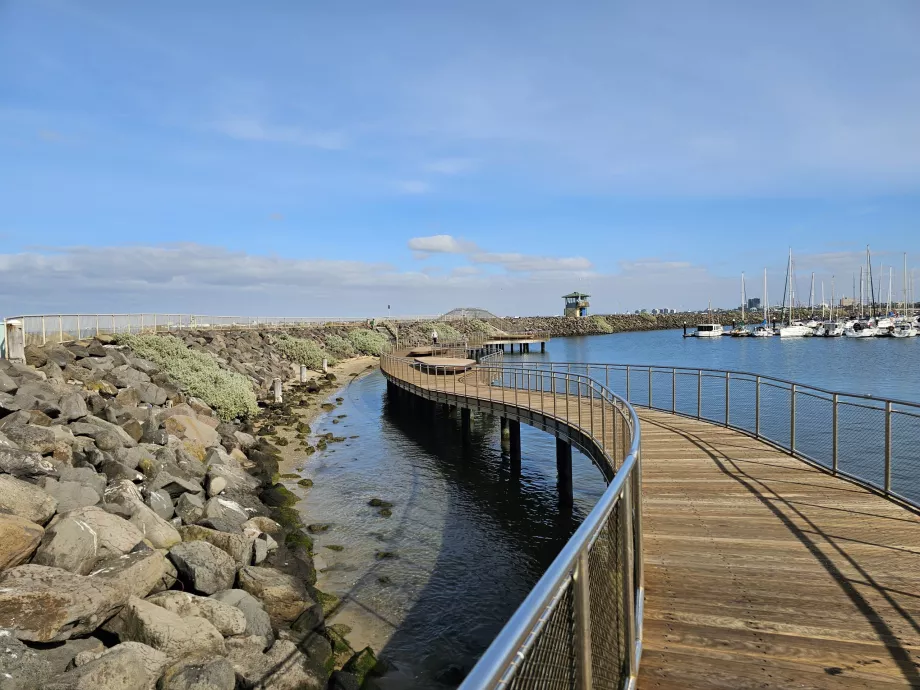 Pingvin-observationssti på St. Kilda Pier