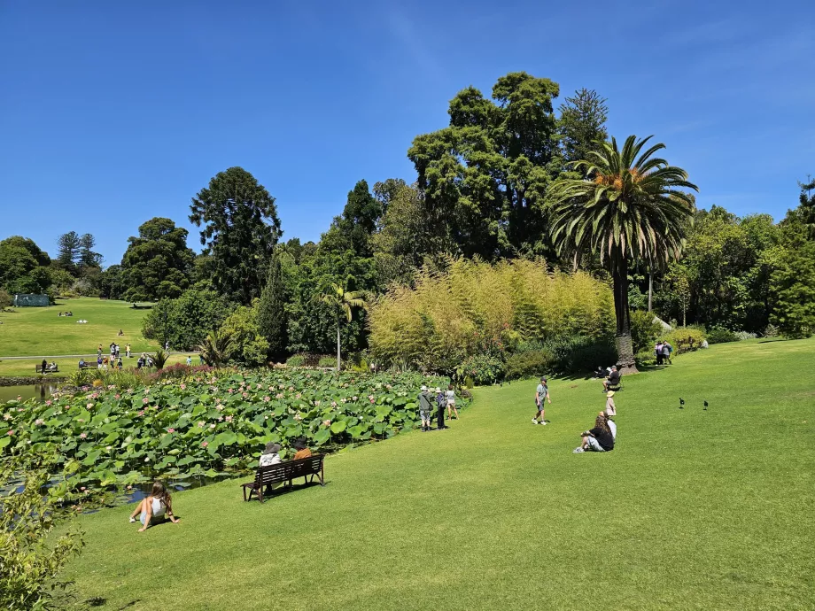 Den Kongelige Botaniske Have