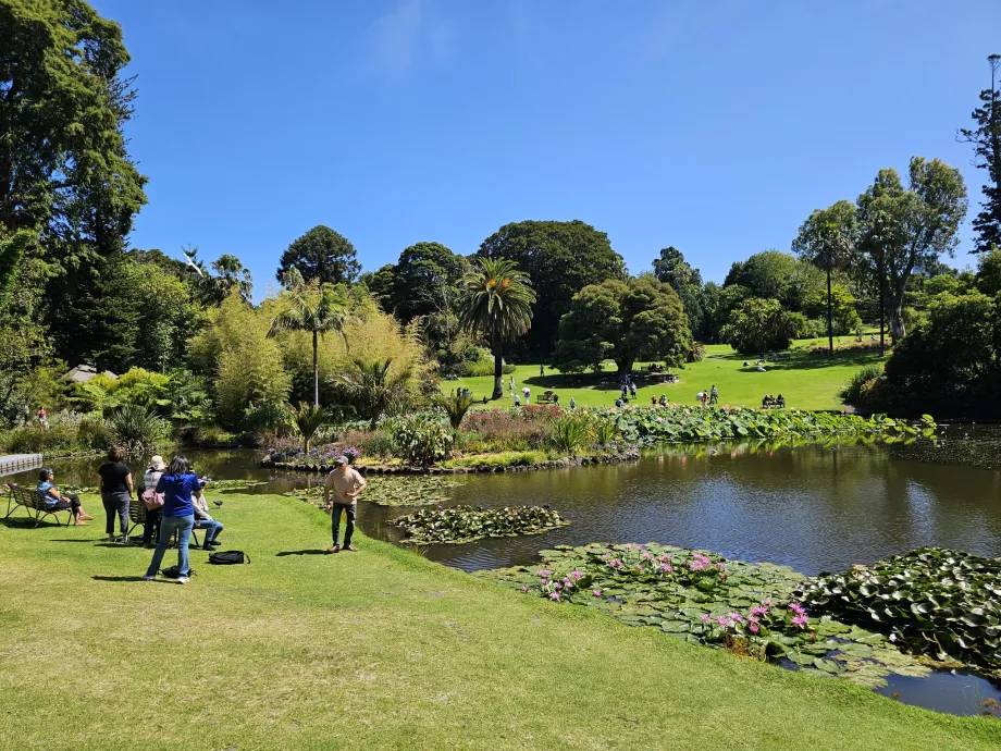Den Kongelige Botaniske Have