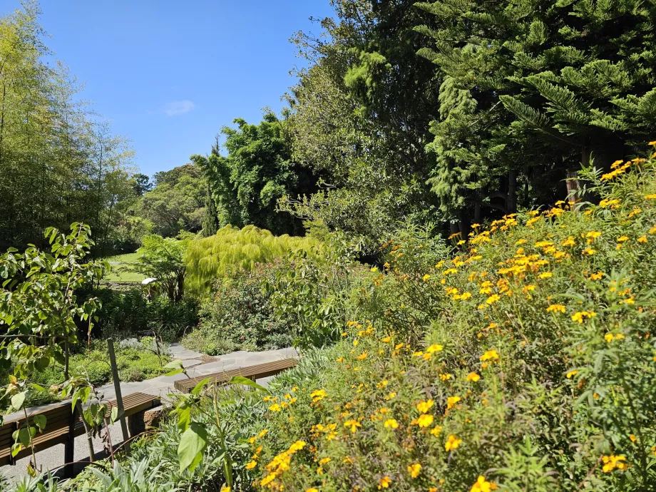 Den Kongelige Botaniske Have