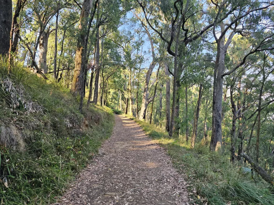 Dandenong Ranges, vandresti