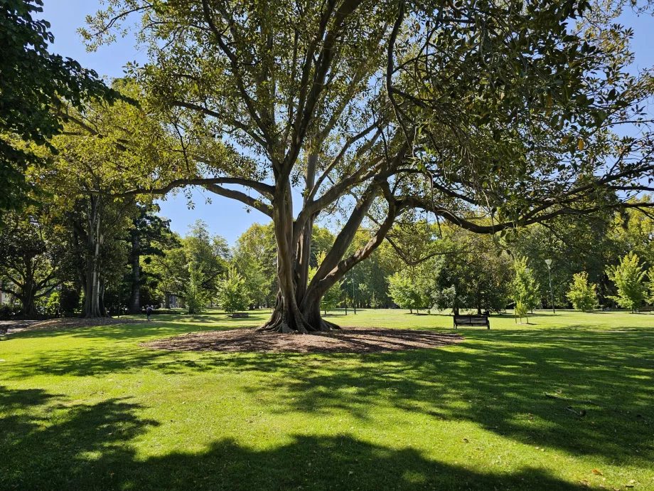 Fitzroy Gardens
