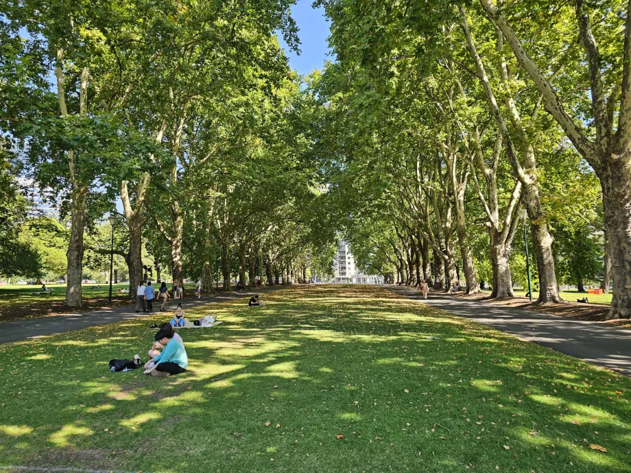 Carlton Gardens