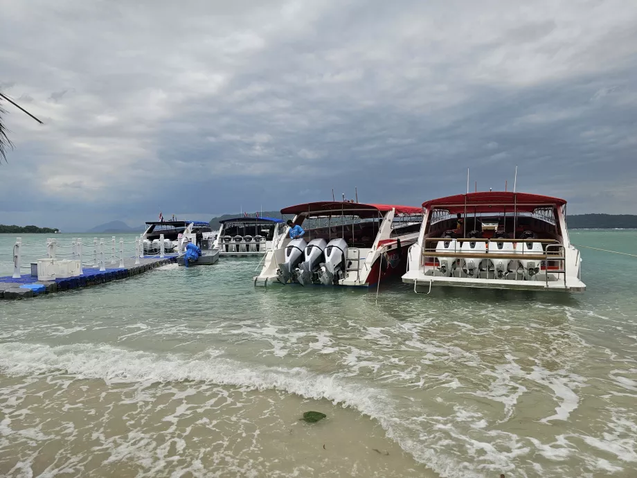 Turistbåde på Pig Island