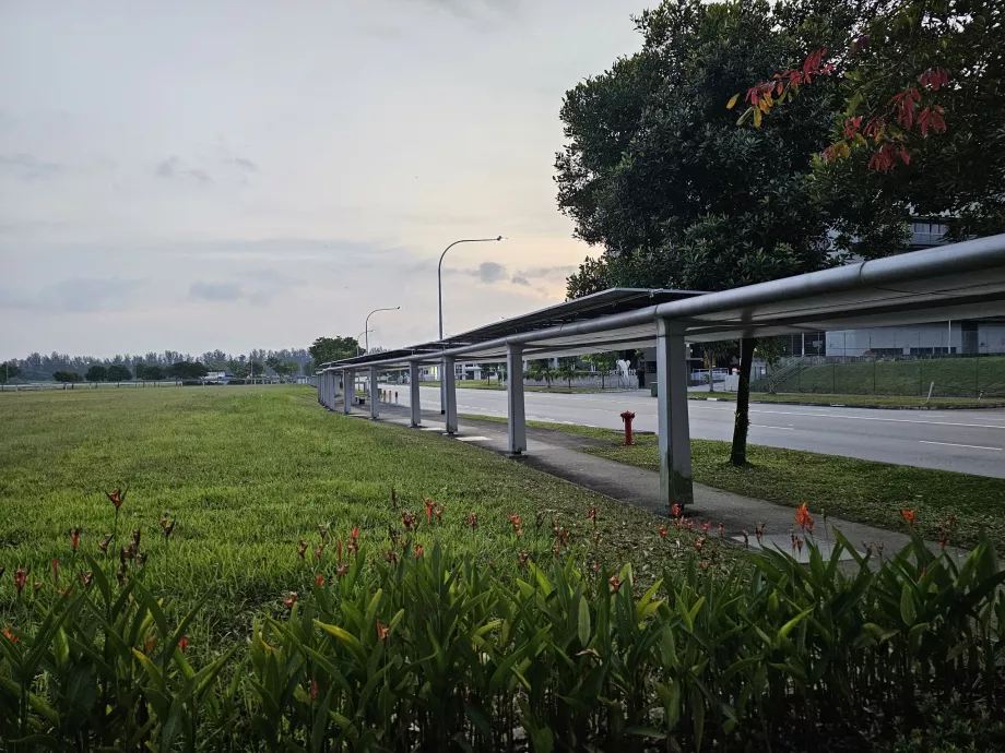 Vejen til busstoppestedet