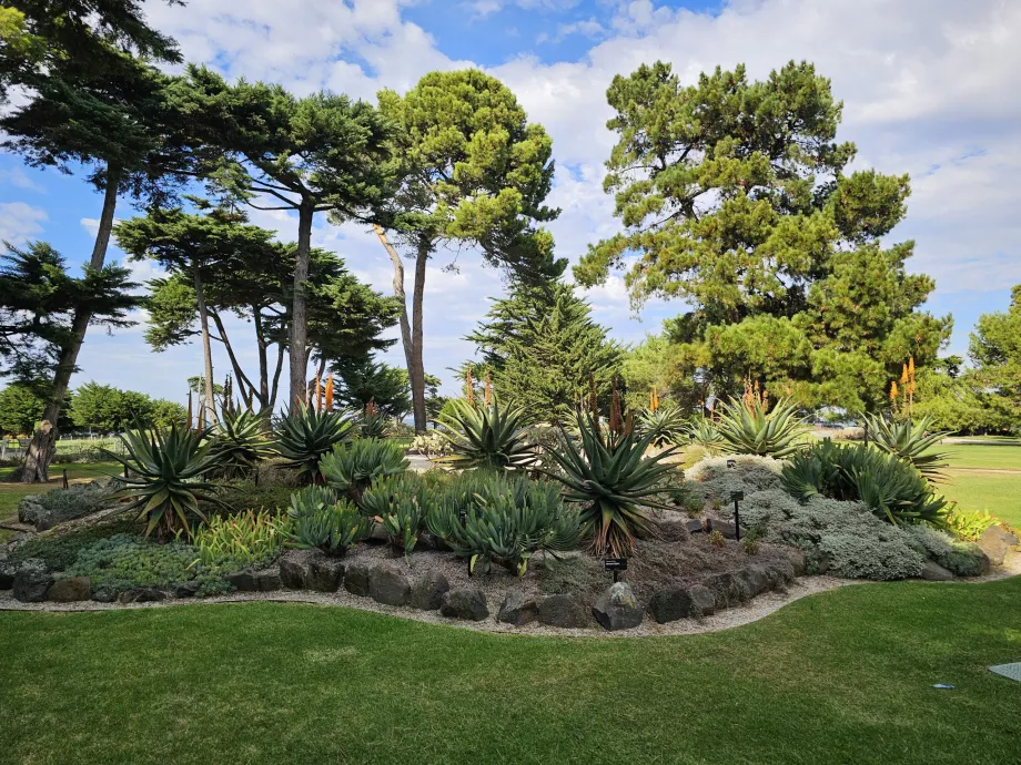 Williamstown Botaniske Have