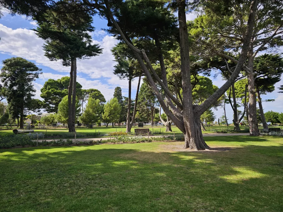 Williamstown Botaniske Have