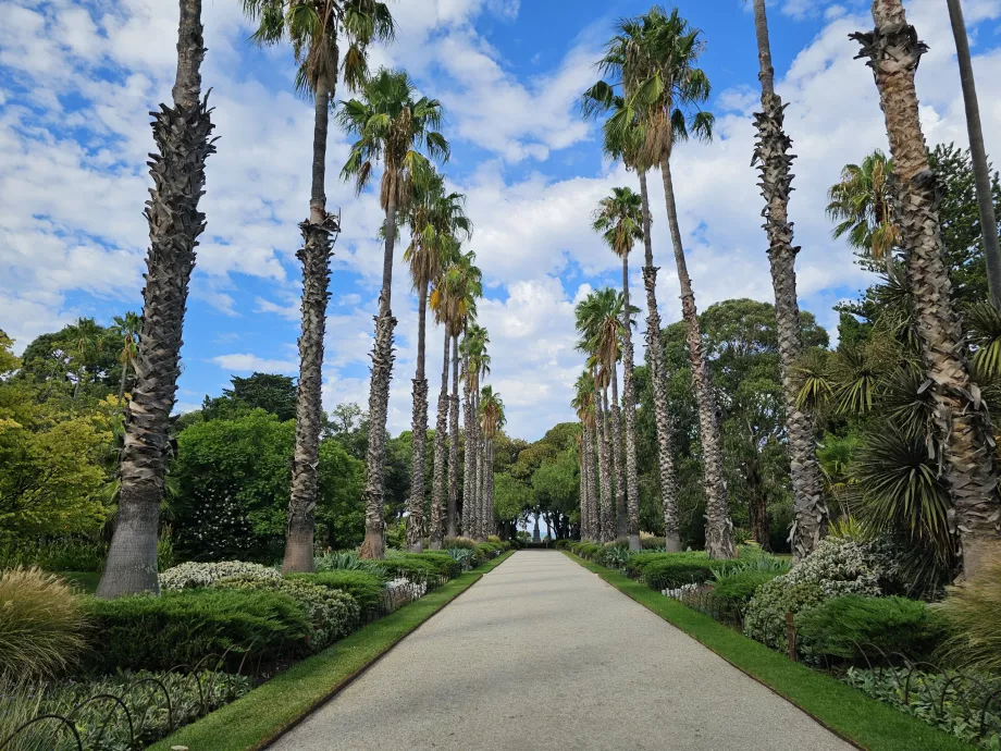 Williamstown Botaniske Have