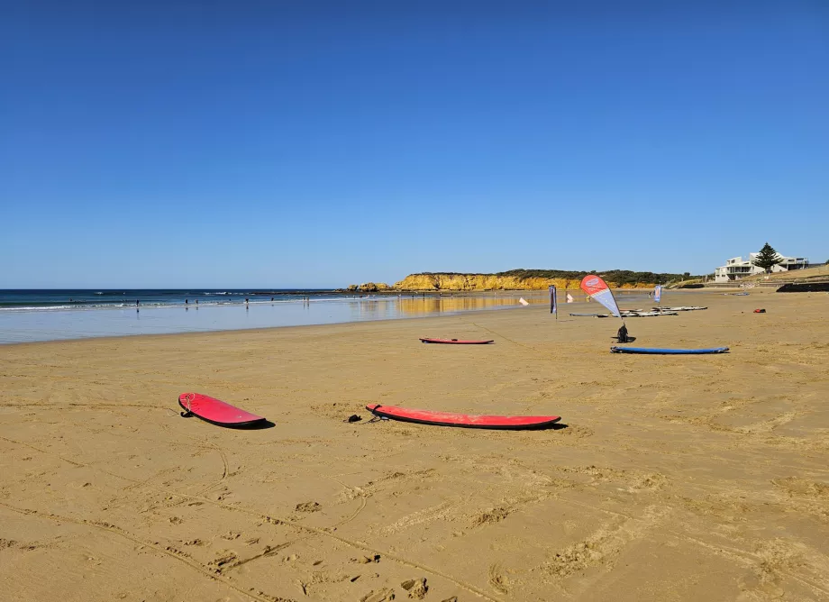 Surfing i Torquay
