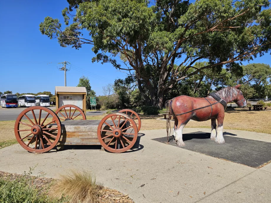 Anglesea