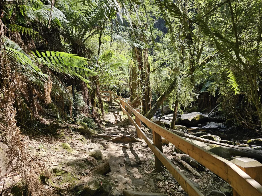 Erskine Falls